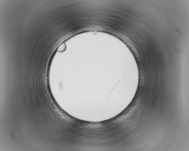 X0000110670845200907241021