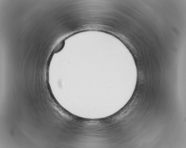 X0000110670846200907241021
