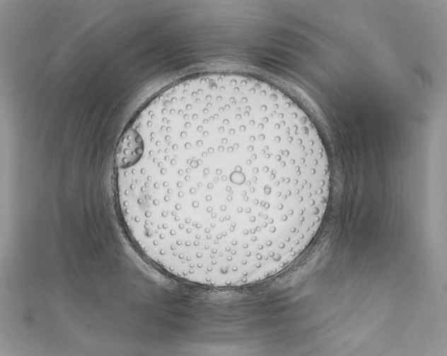 X0000110670847200907241021