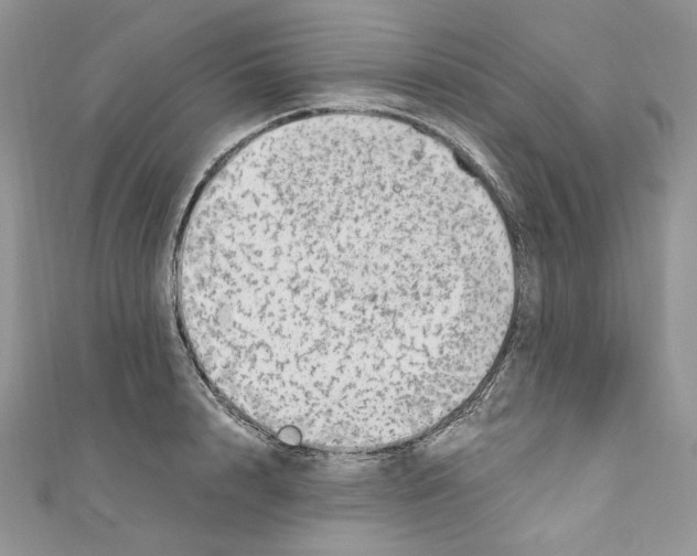 X0000110670848200907241021