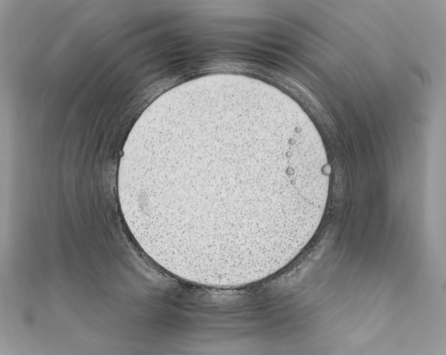 X0000110670849200907241021