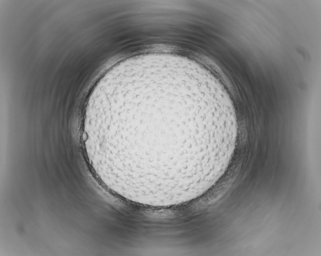 X0000110670851200907241021