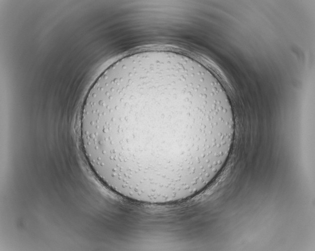 X0000110670852200907241021