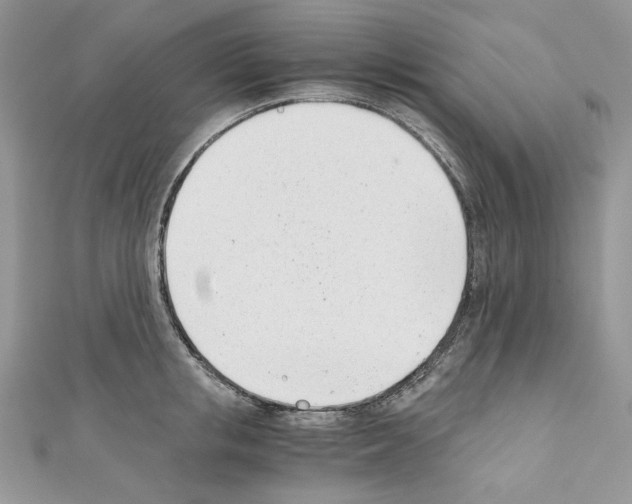 X0000110670853200907241021