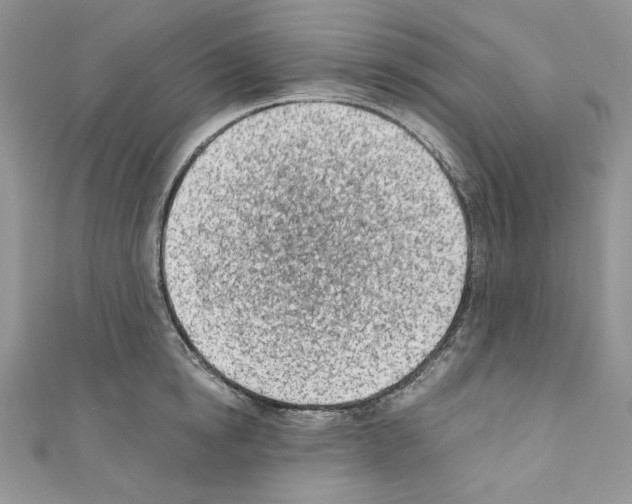X0000110670854200907241021