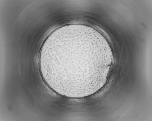 X0000110670855200907241021