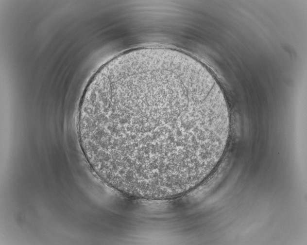 X0000110670856200907241021