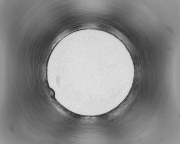 X0000110670858200907241021
