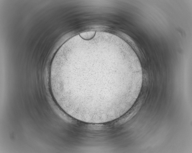 X0000110670859200907241021