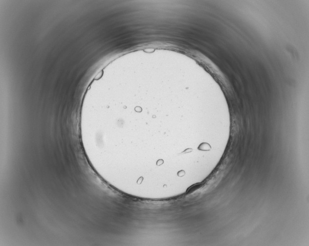 X0000110670860200907241021