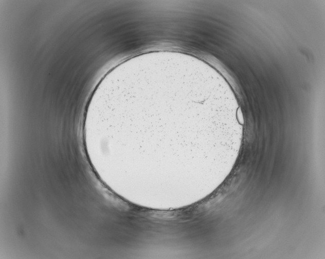X0000110670861200907241021