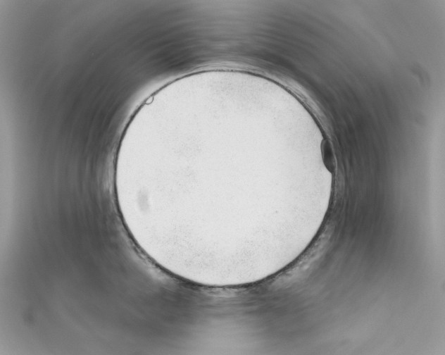 X0000110670862200907241021