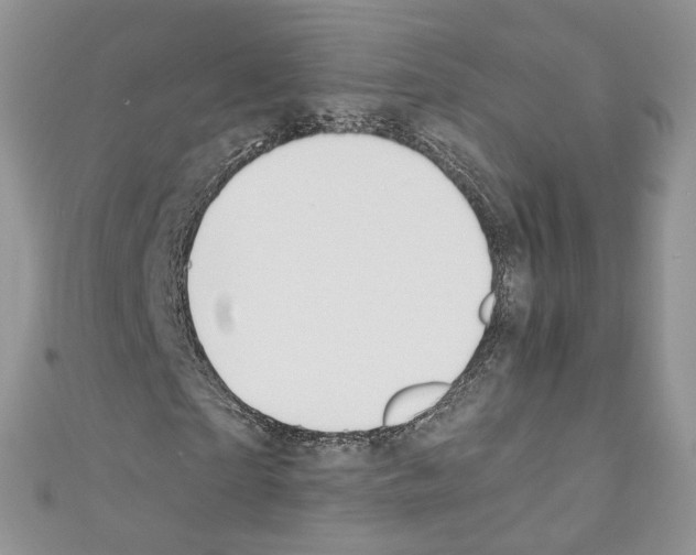 X0000110670865200907241020