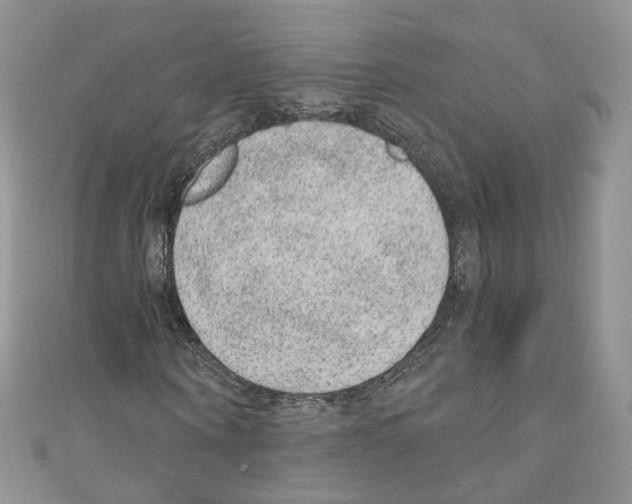 X0000110670866200907241020