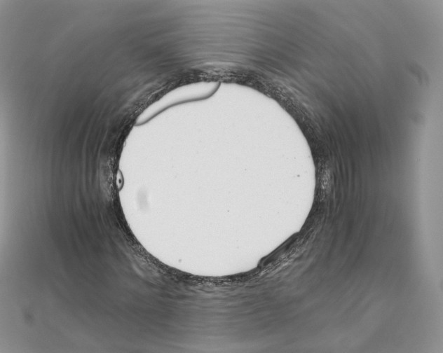 X0000110670868200907241020