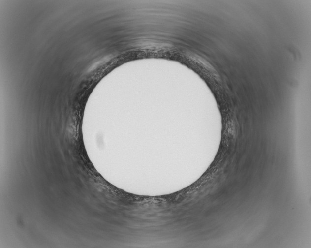 X0000110670869200907241020