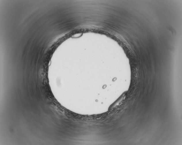 X0000110670872200907241020