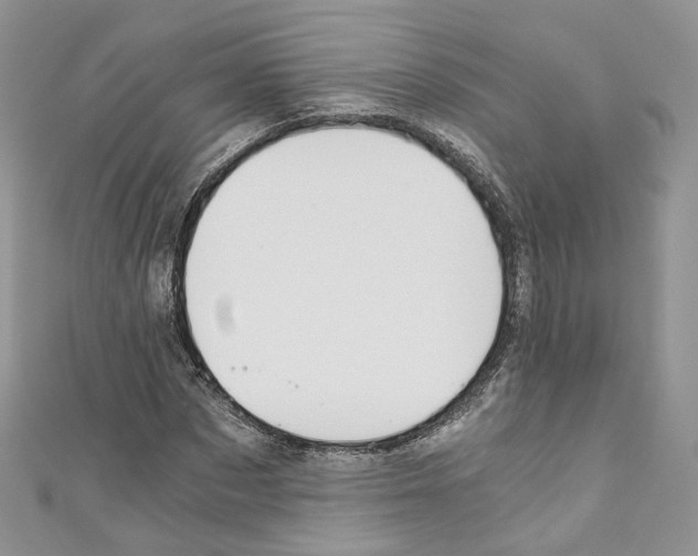 X0000110670873200907241020