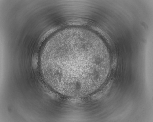 X0000110670874200907241020