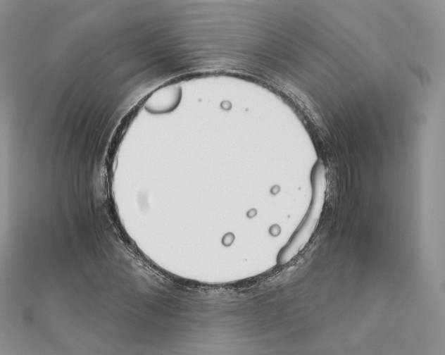 X0000110670876200907241020