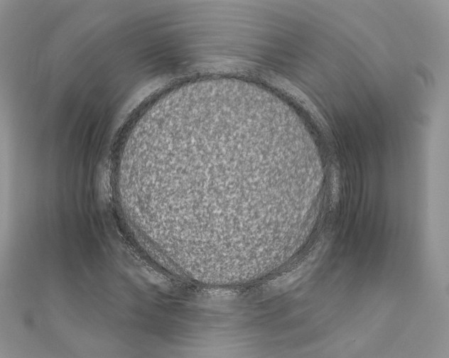 X0000110670878200907241020