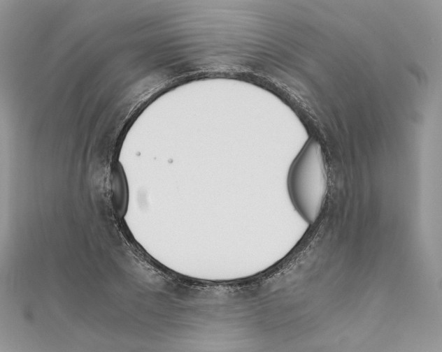 X0000110670881200907241020