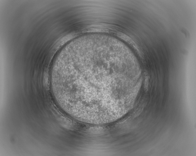 X0000110670882200907241020