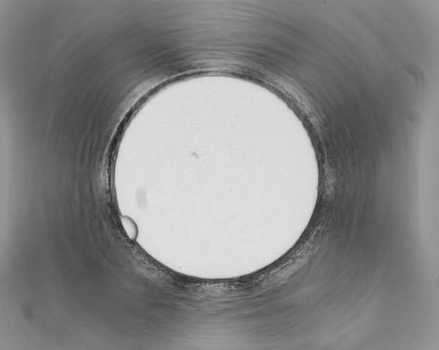 X0000110670883200907241020