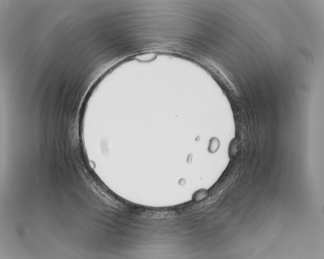 X0000110670884200907241020
