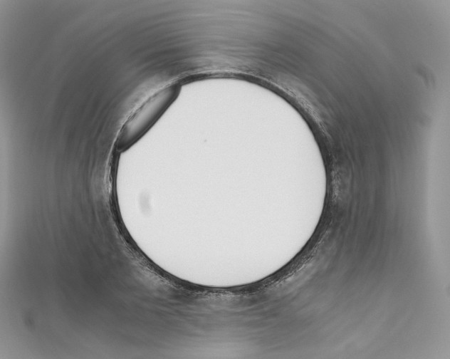 X0000110670885200907241020