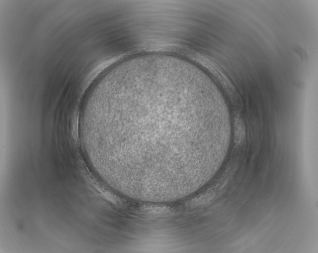 X0000110670886200907241020