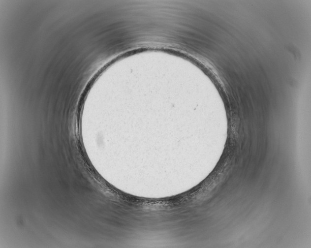 X0000110670887200907241020