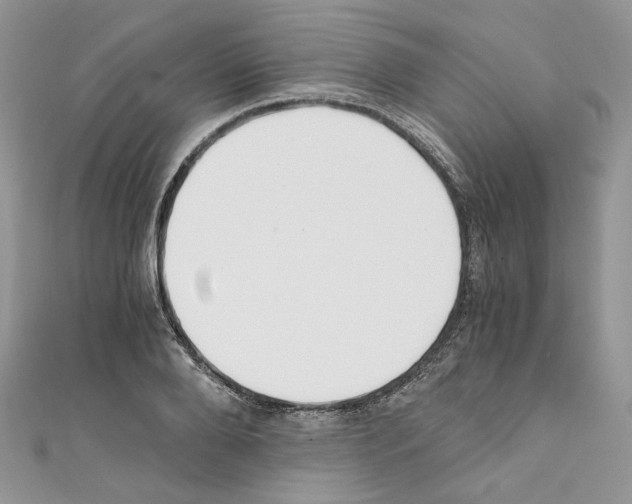 X0000110670888200907241020