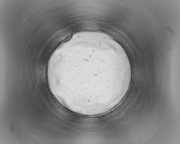 X0000110670889200907241020