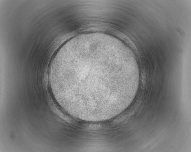X0000110670890200907241020
