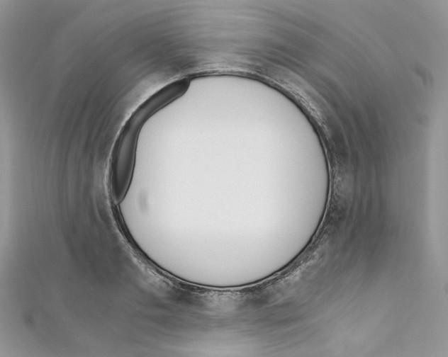 X0000110670893200907241020