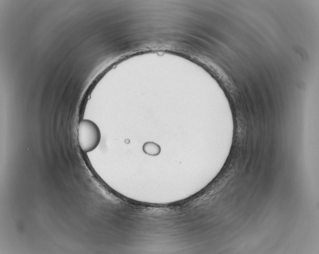 X0000110670894200907241020
