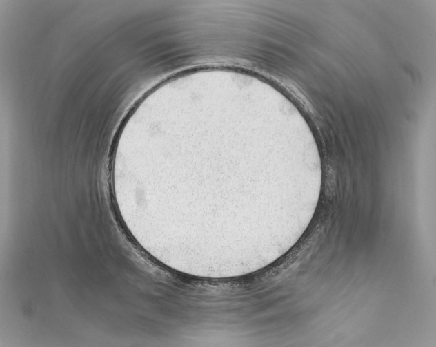 X0000110670895200907241020
