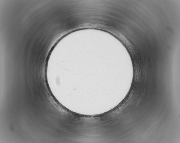 X0000110670896200907241020
