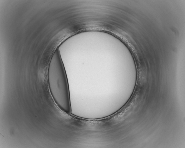 X0000110670897200907241020