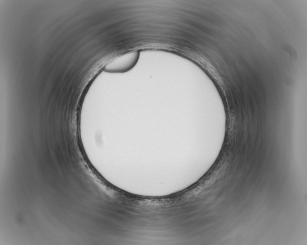 X0000110670898200907241020