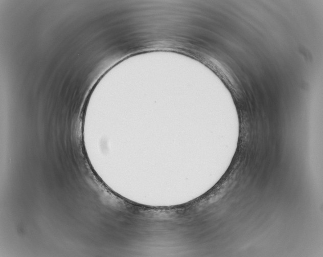 X0000110670900200907241020