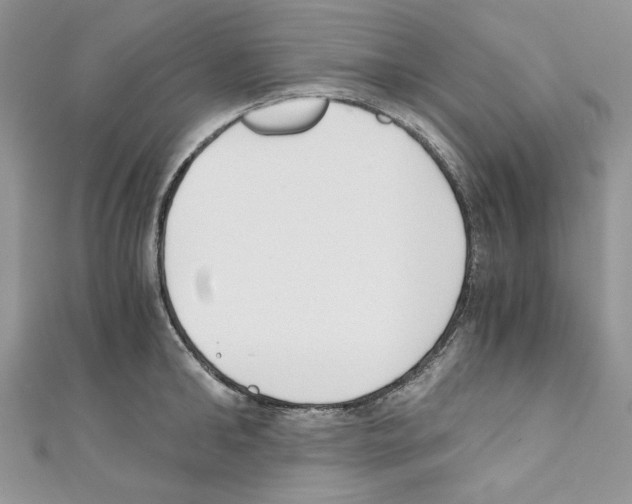 X0000110670902200907241020