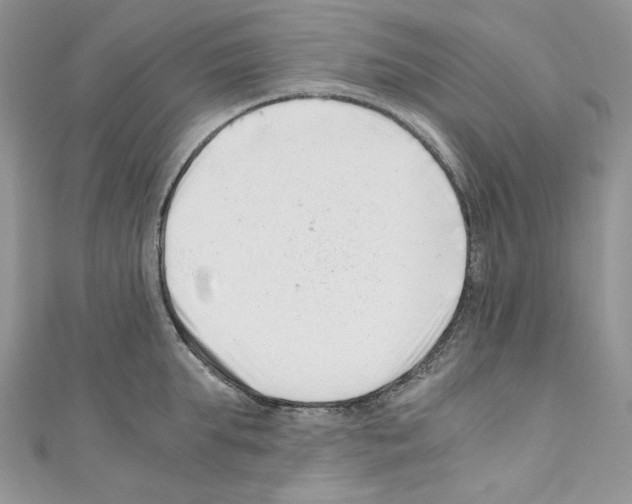 X0000110670903200907241020