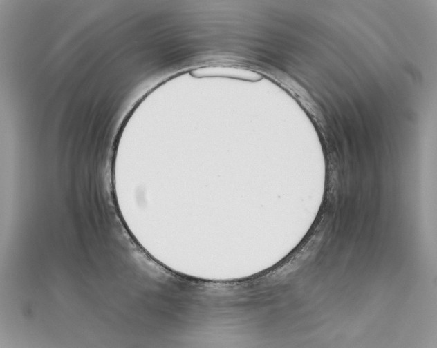 X0000110670904200907241020