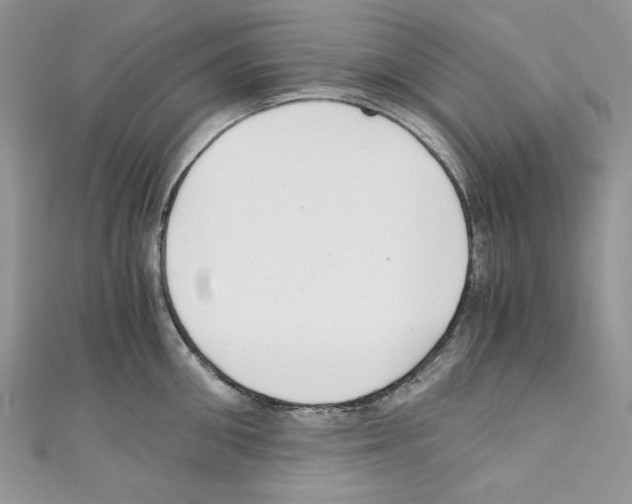 X0000110670906200907241020