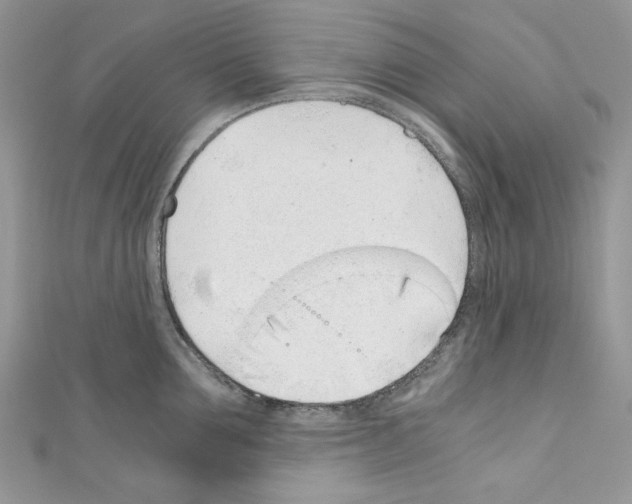 X0000110670907200907241020