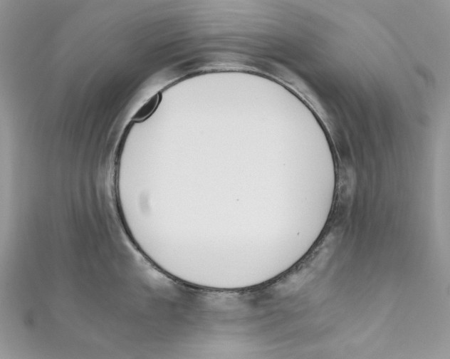 X0000110670909200907241020