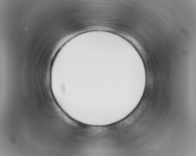 X0000110670910200907241020