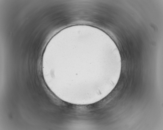 X0000110670911200907241020